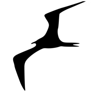 Frigate NVR Setup Quote